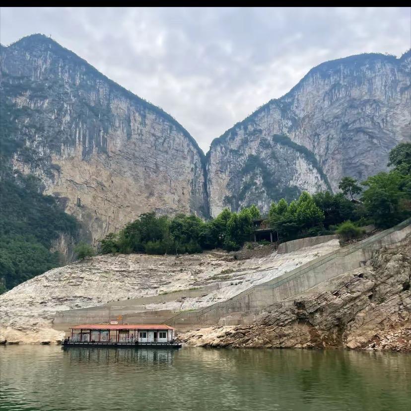 迎风摇曳