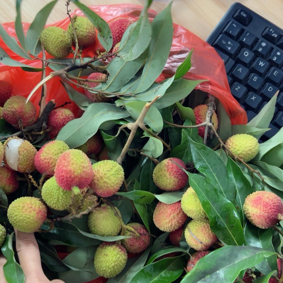 明玉小姐姐/闲逛广西特色旅游打卡