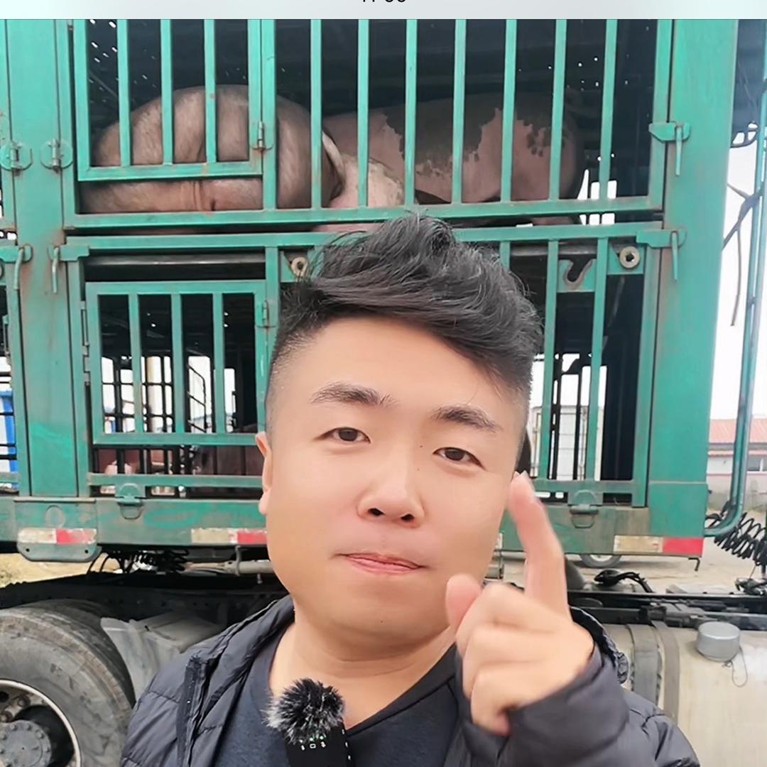 小王说猪