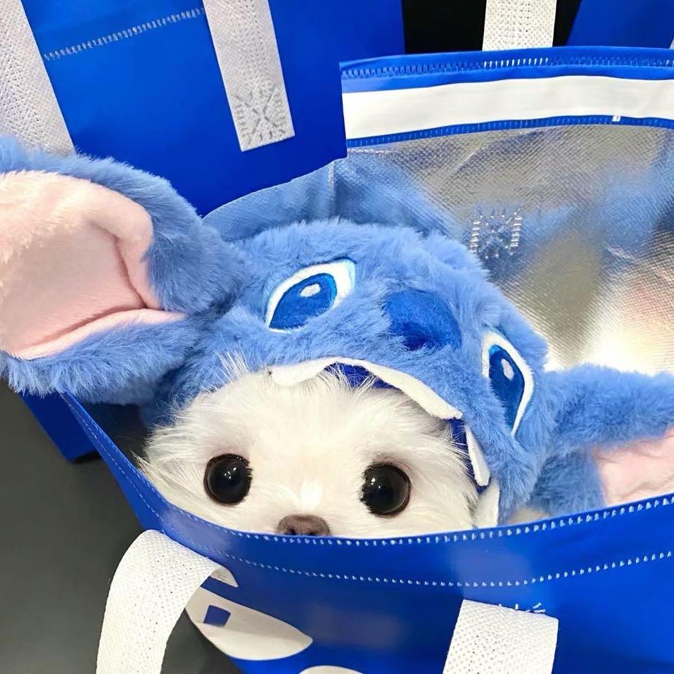 可可可欣！