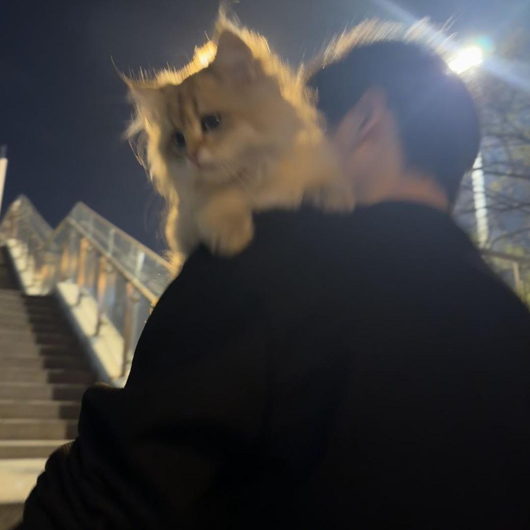 一口可乐