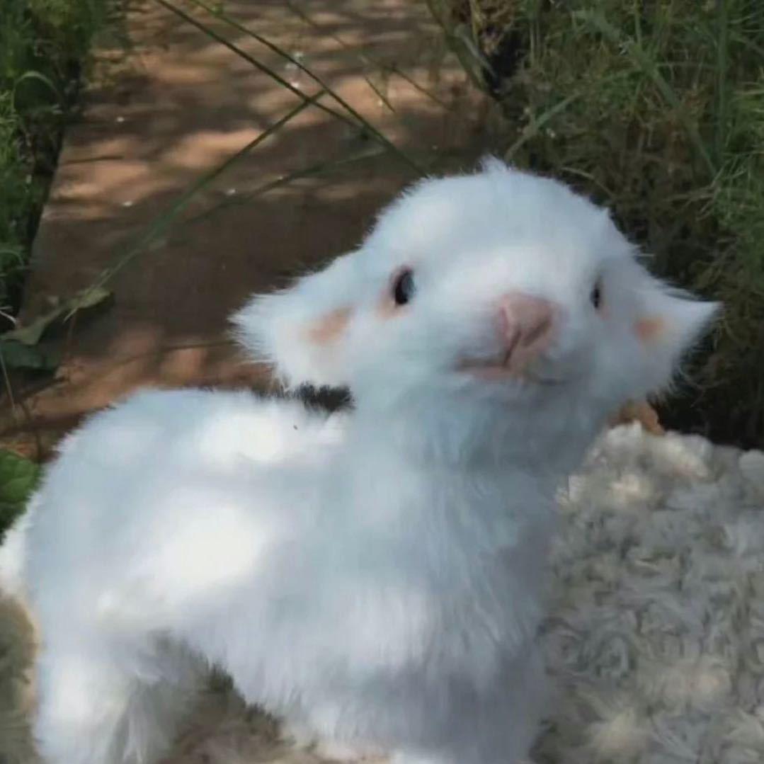 盐盐