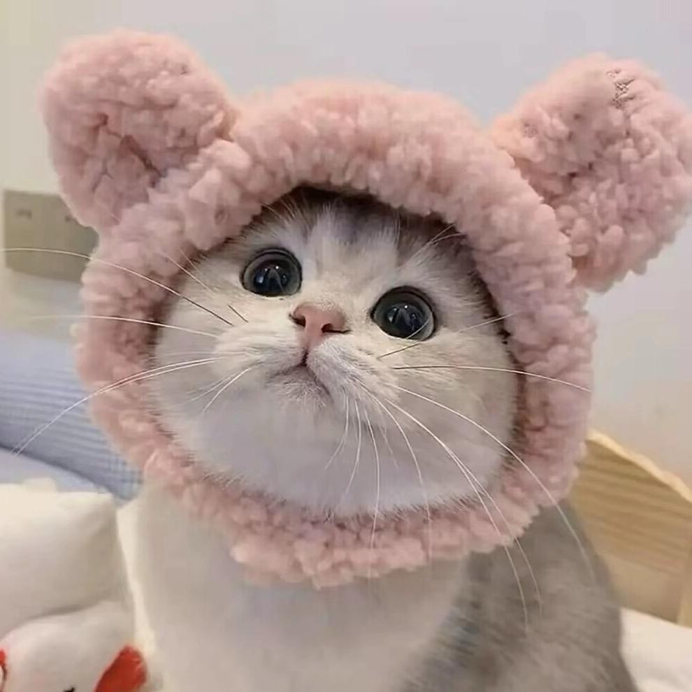 好时间