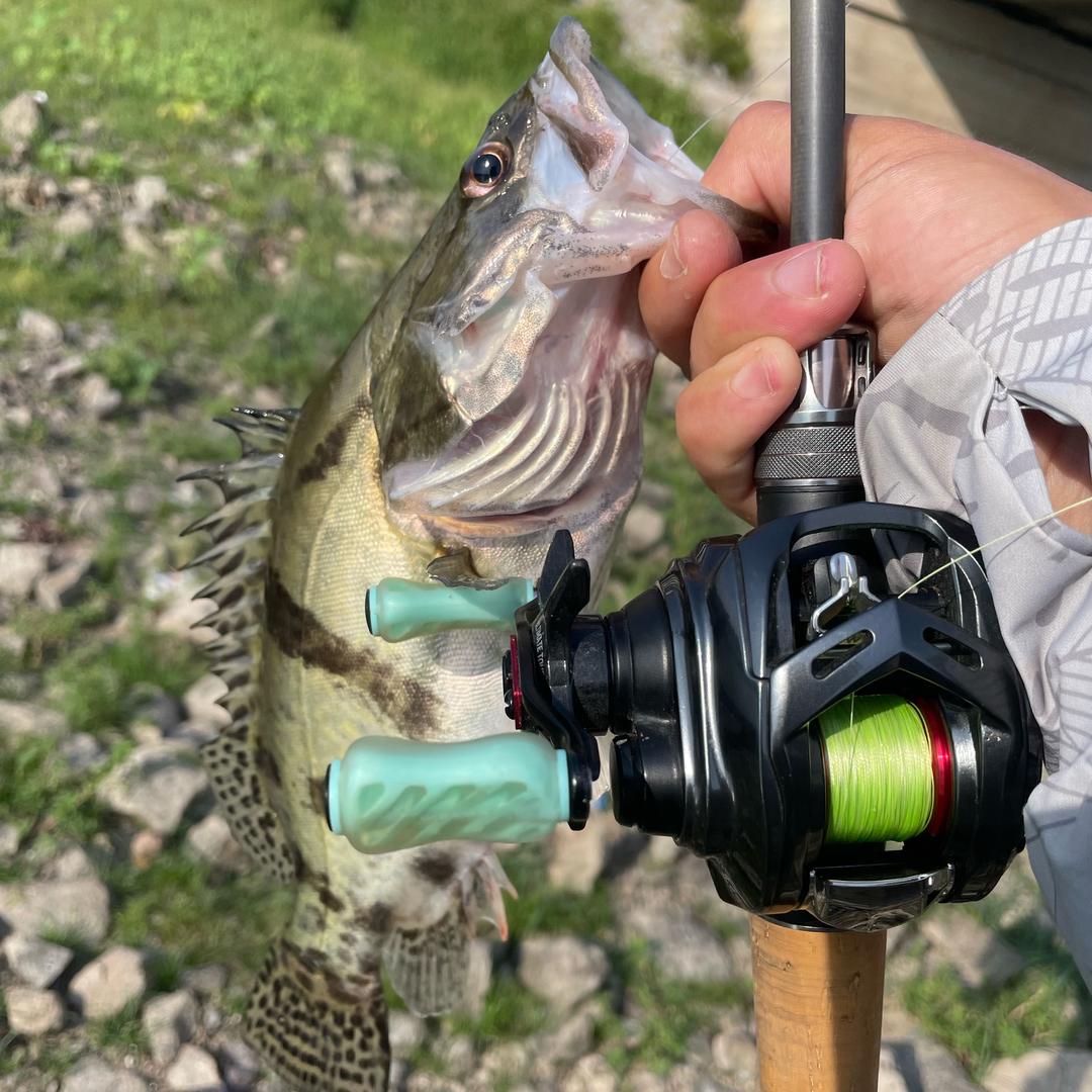 路亚八月🎣
