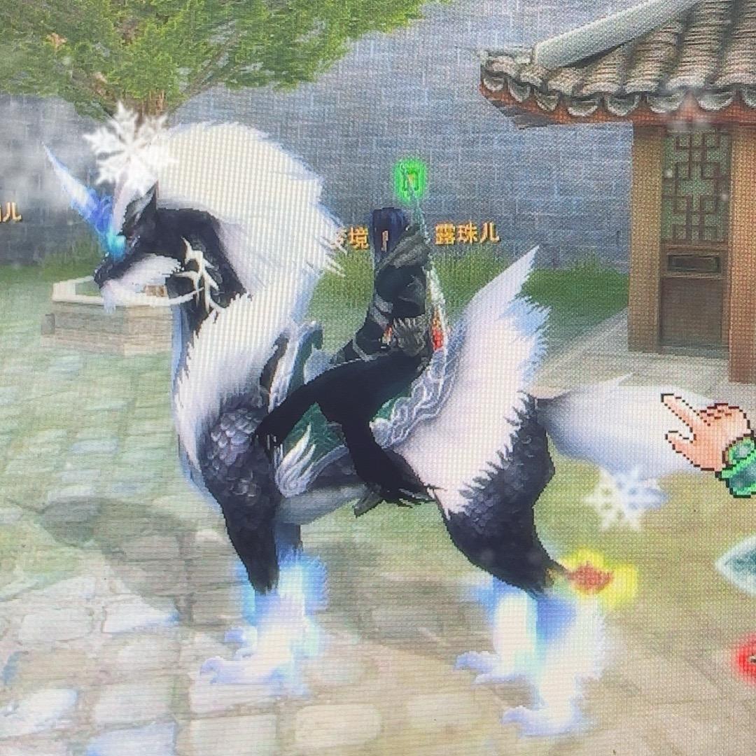 情憾九天