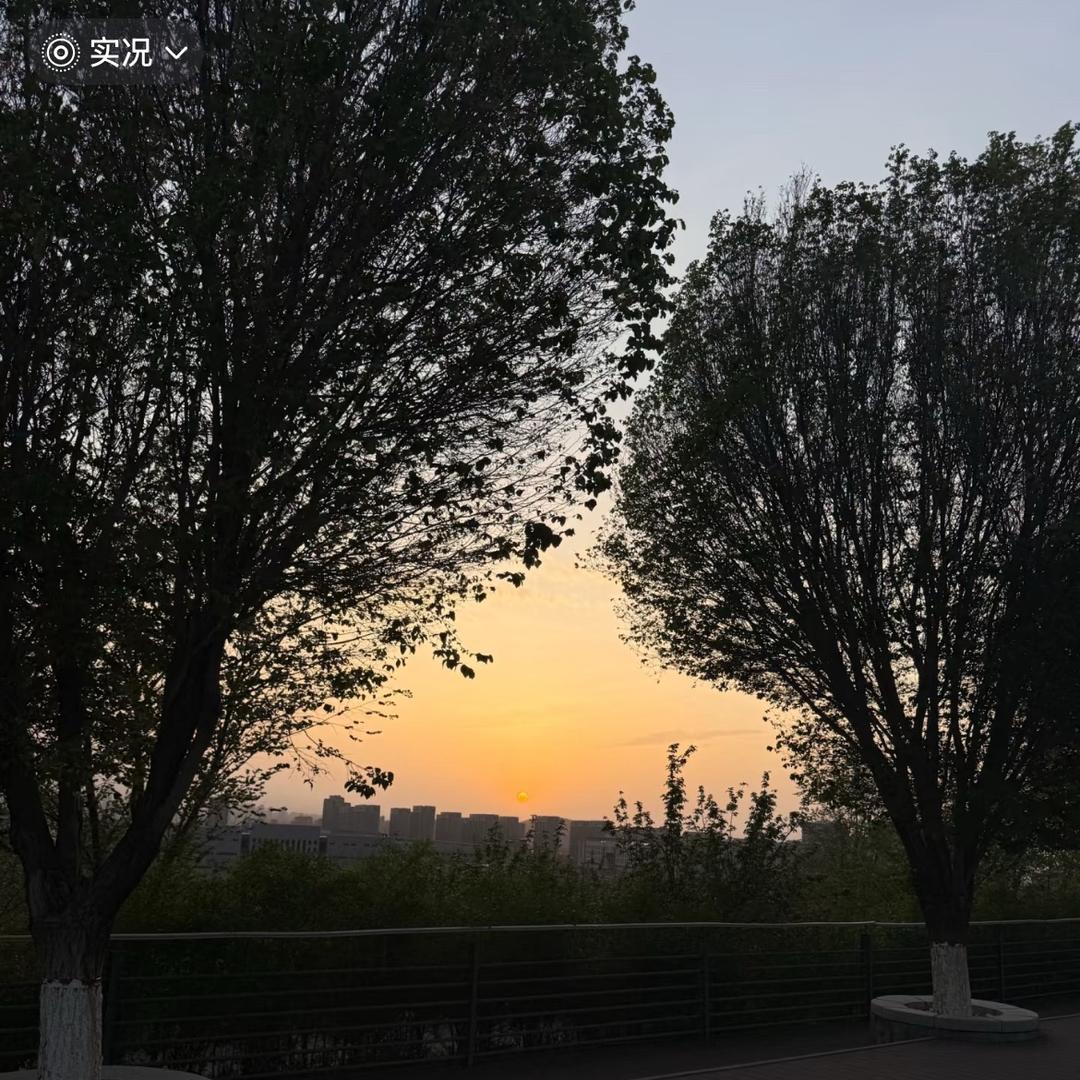 桃酥。