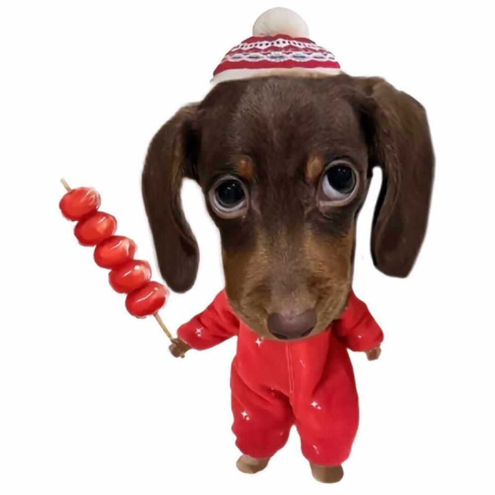 你算哪块小饼干