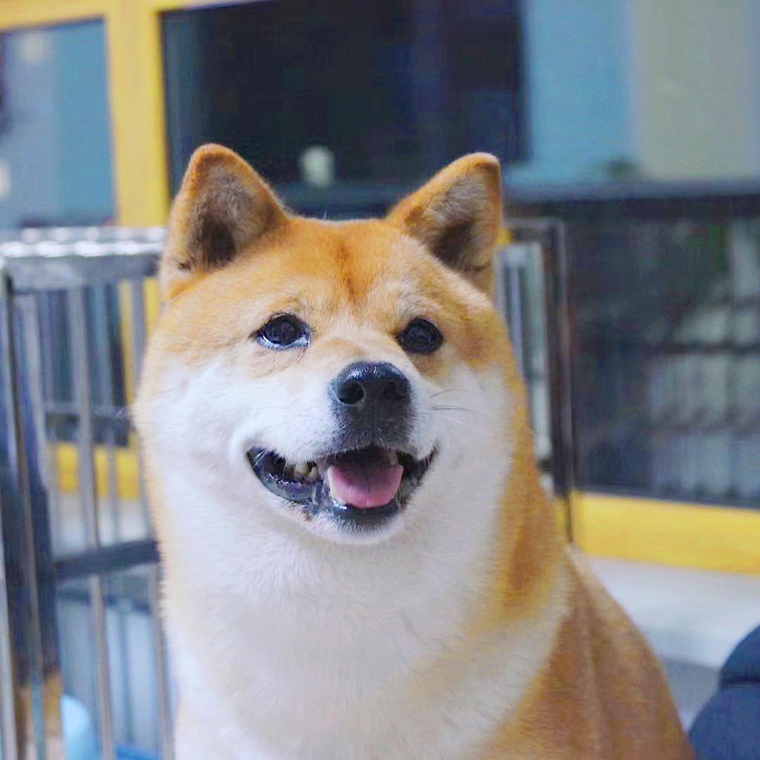 维他命