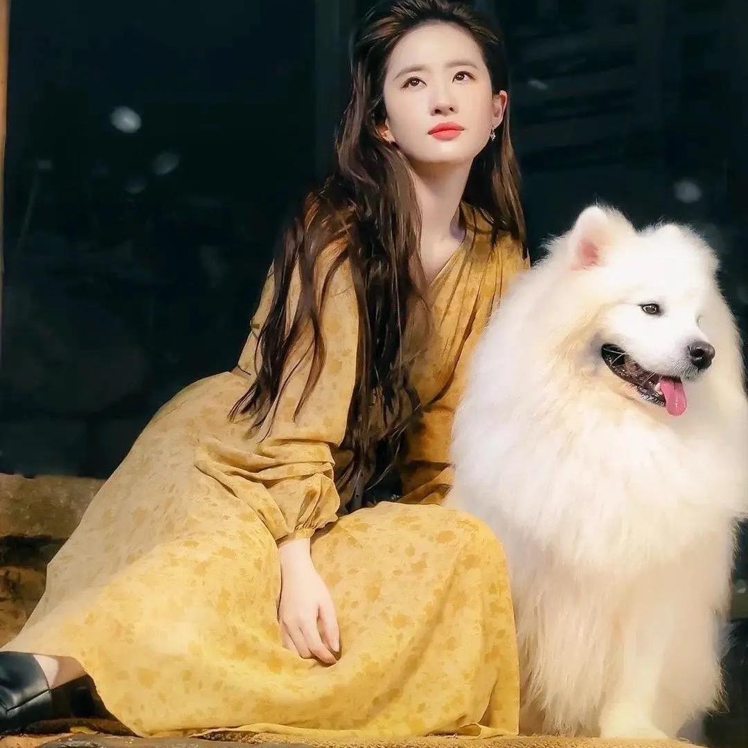 【日光慢谈】小助理