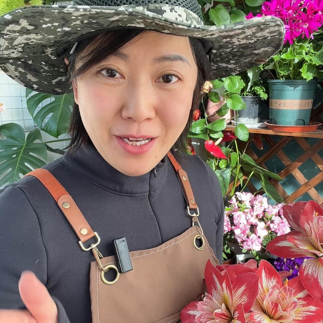陆月花卉园艺