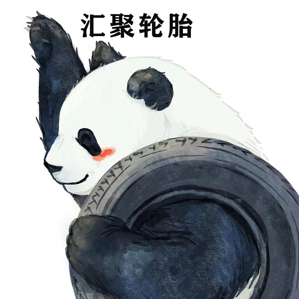 汇聚轮胎（珂珂）