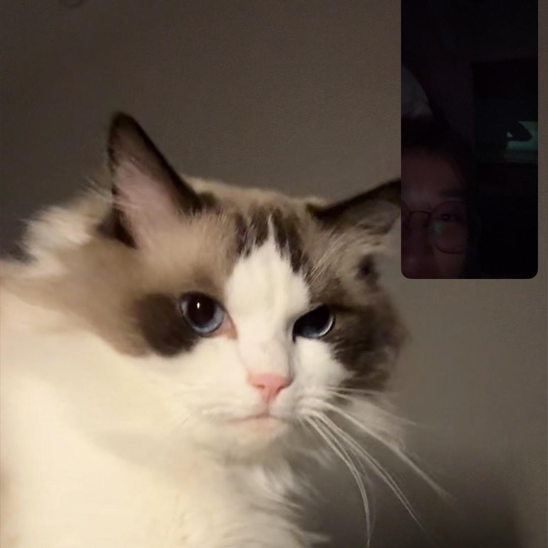 Duffybaby