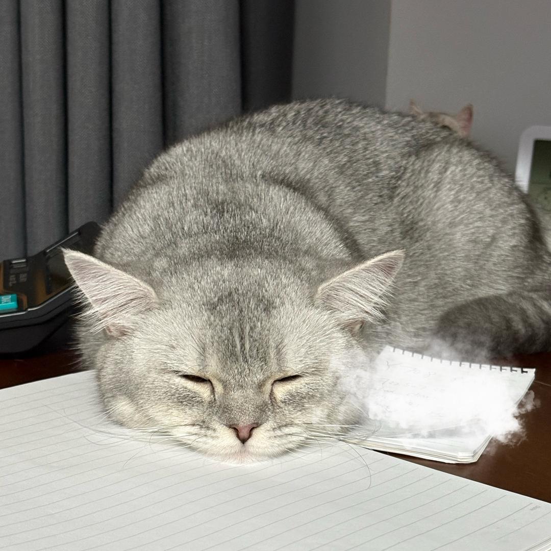 嘟嘟大福🐾