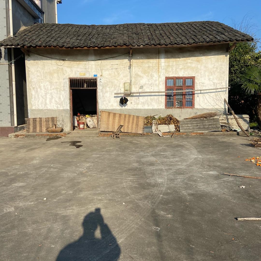 曹哥