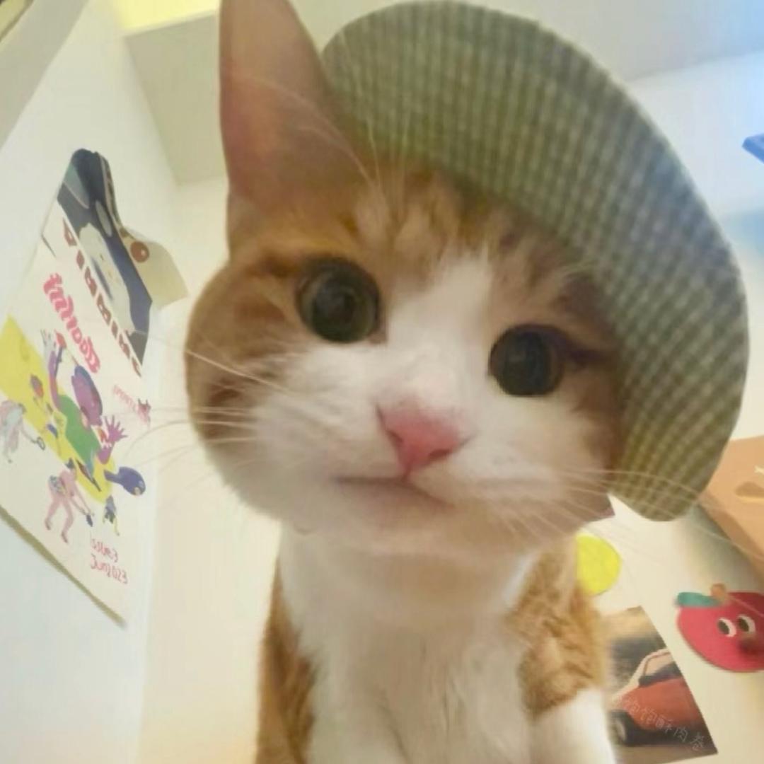 iidoL_小盆录像机🐟
