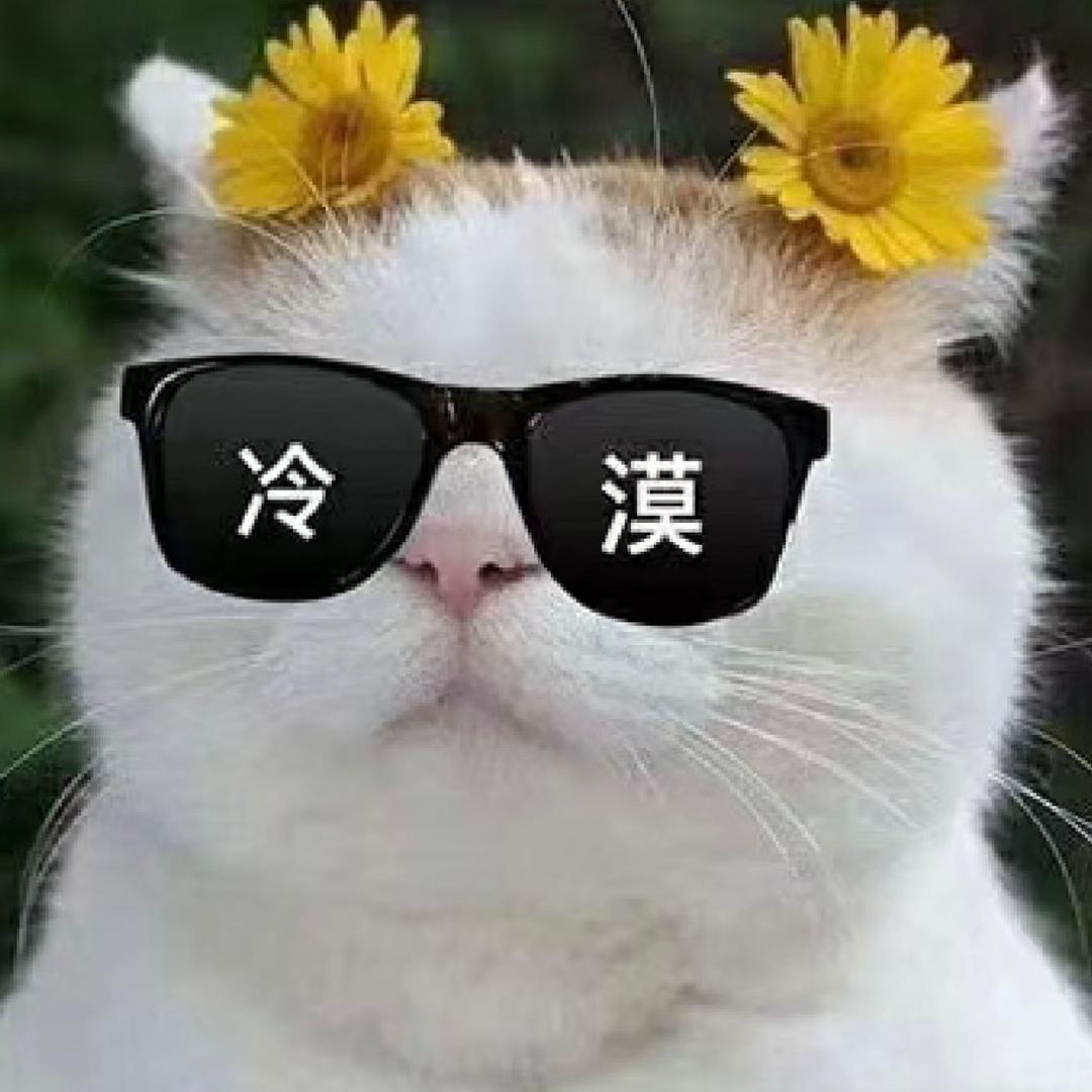 披萨心肠🧊