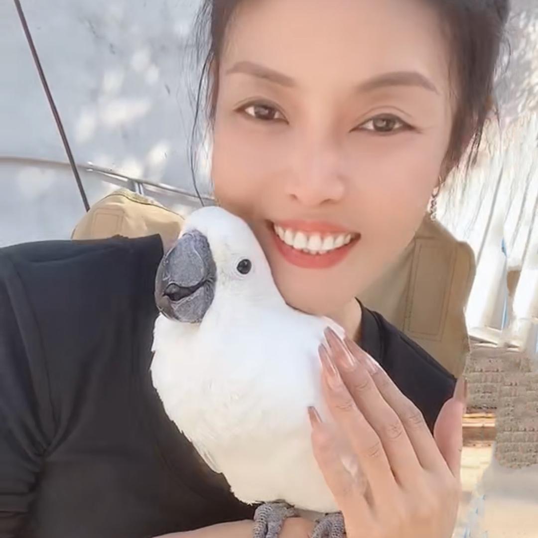 靓魅儿 聚鹦堂