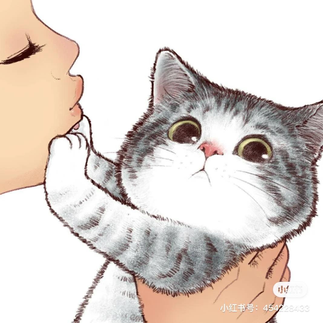 不午休的猫DIY手作