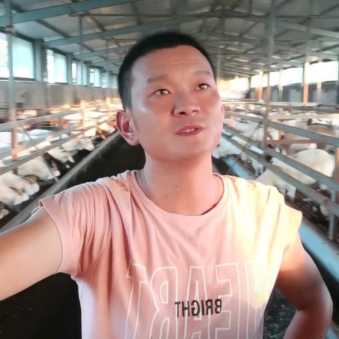 润东羊肉店（国强养殖场）