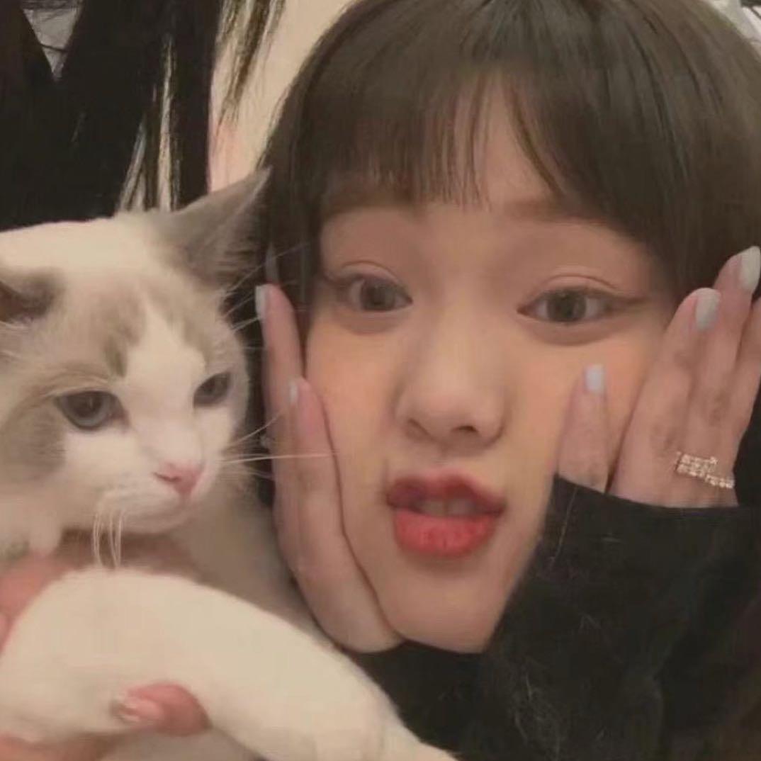 谁知潘中餐女士💭