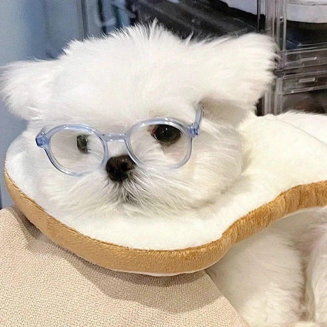 高一父母还收我手机。
