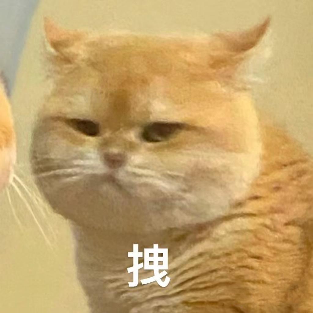 范范喜欢吃饭饭