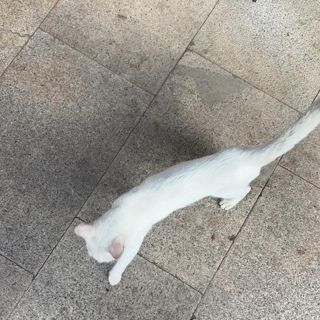 叶落，且听风吟