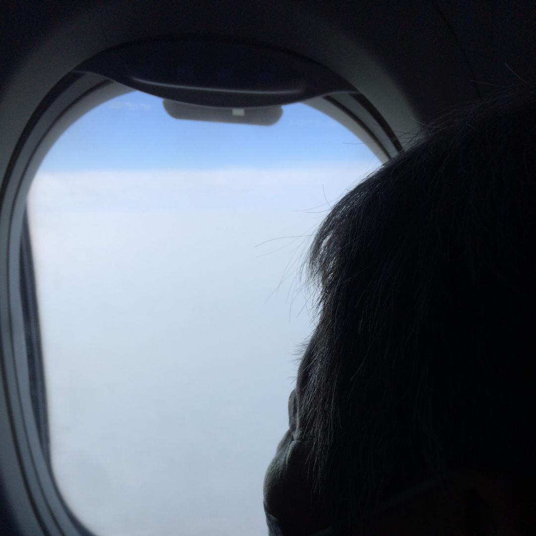 锦瑟: