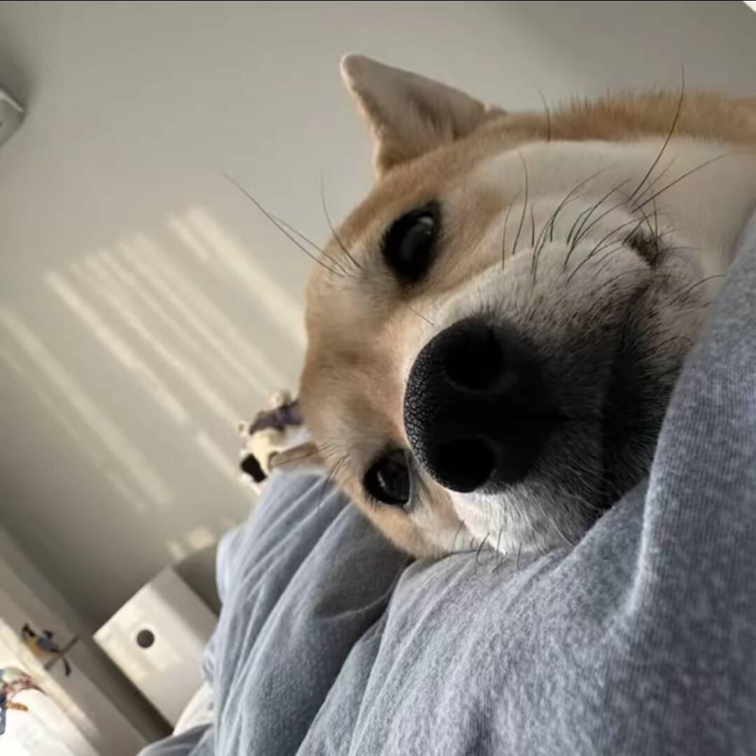 早点睡