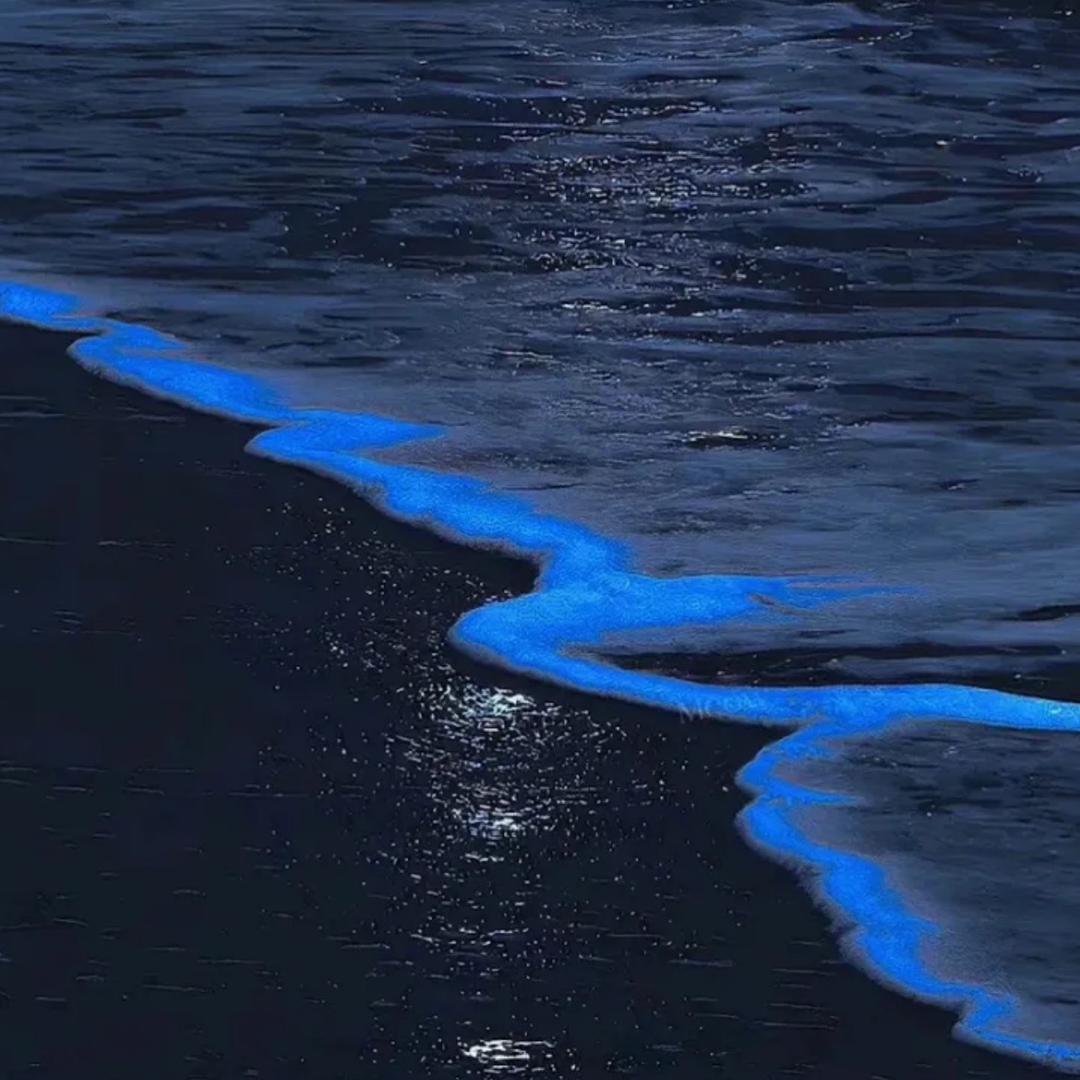 累了头像