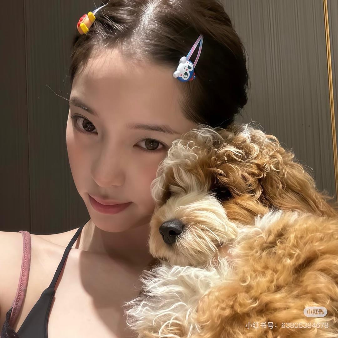 乳酸菌味的养乐多