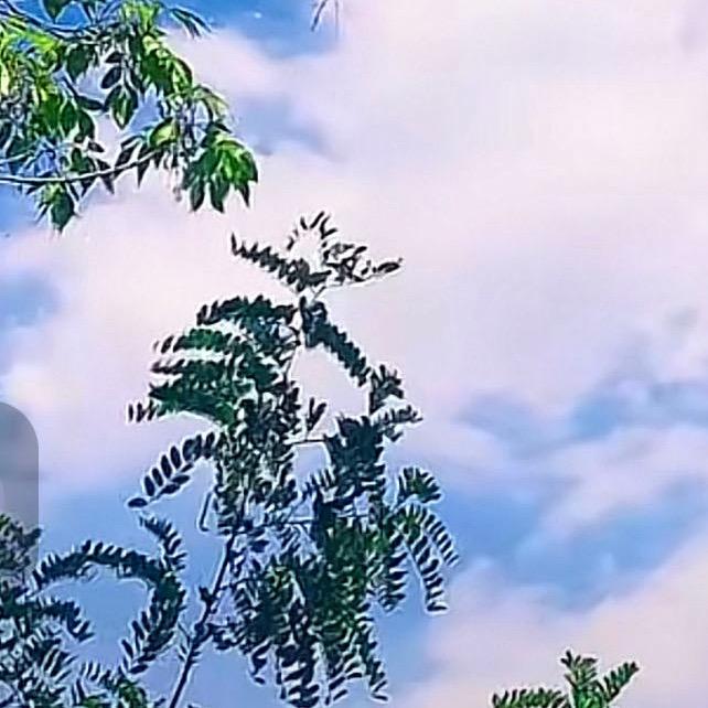 海阔天空_666