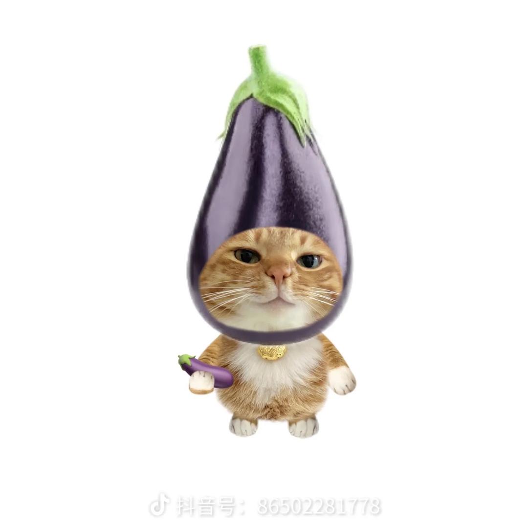 闽轩