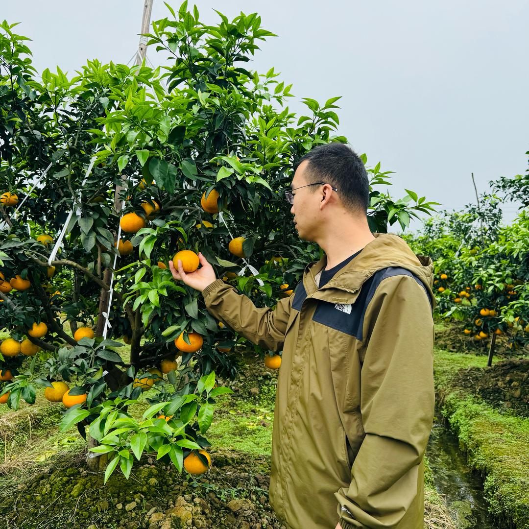 俊杰