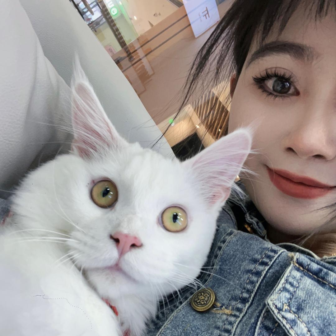 你好.