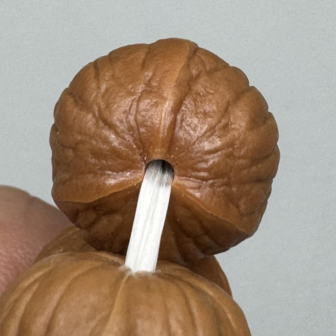 猴头工厂批发零售