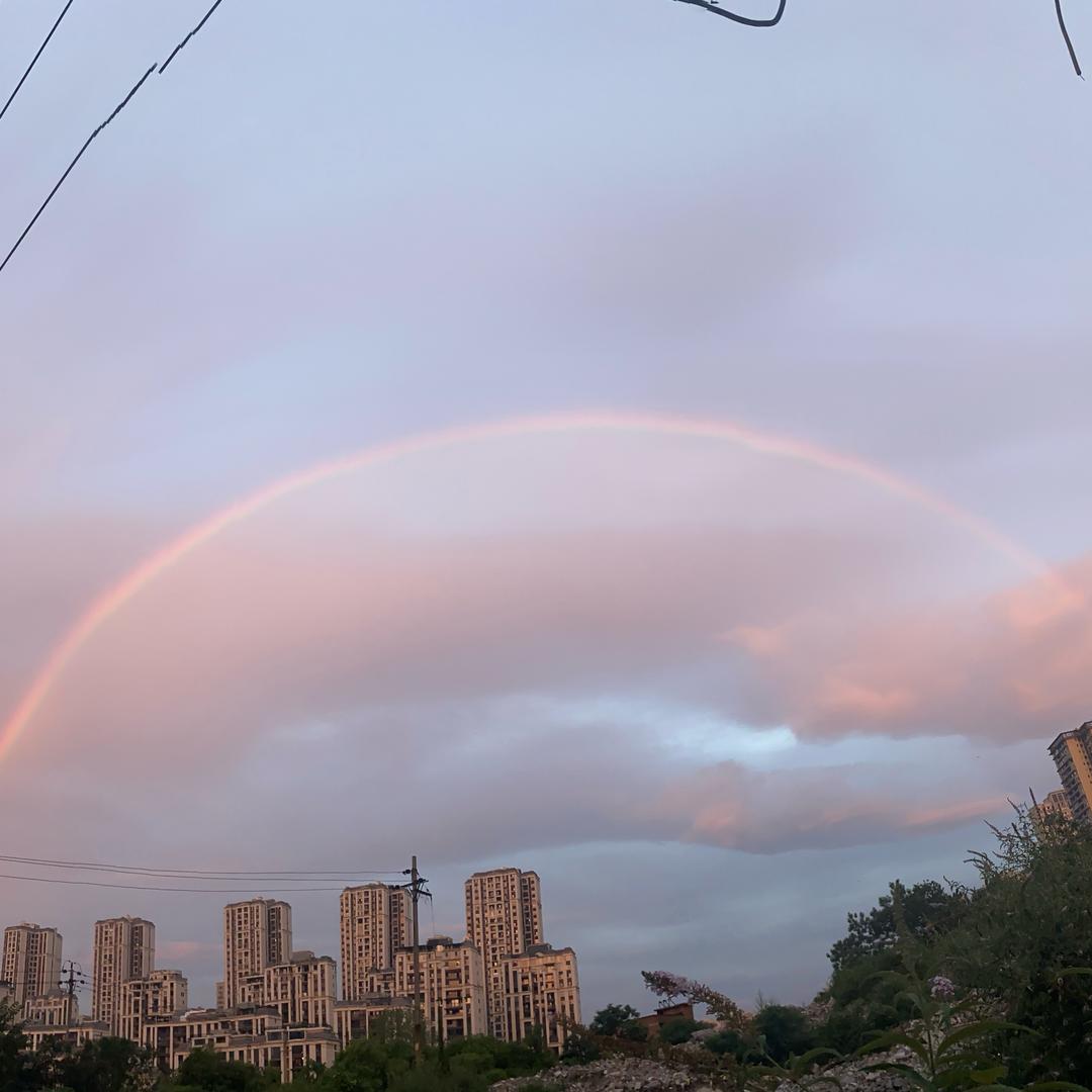 小 陈