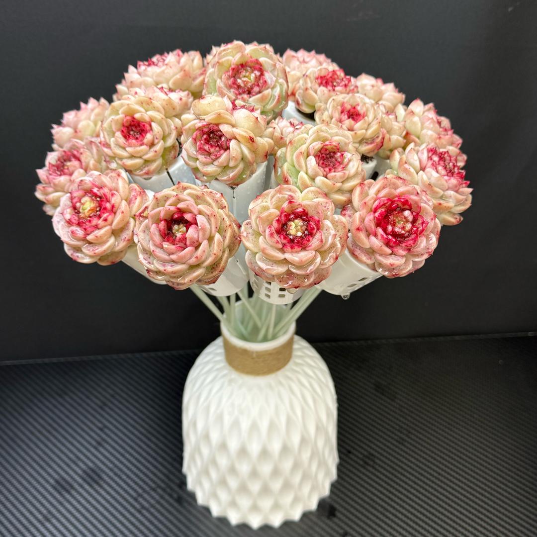 芬的的