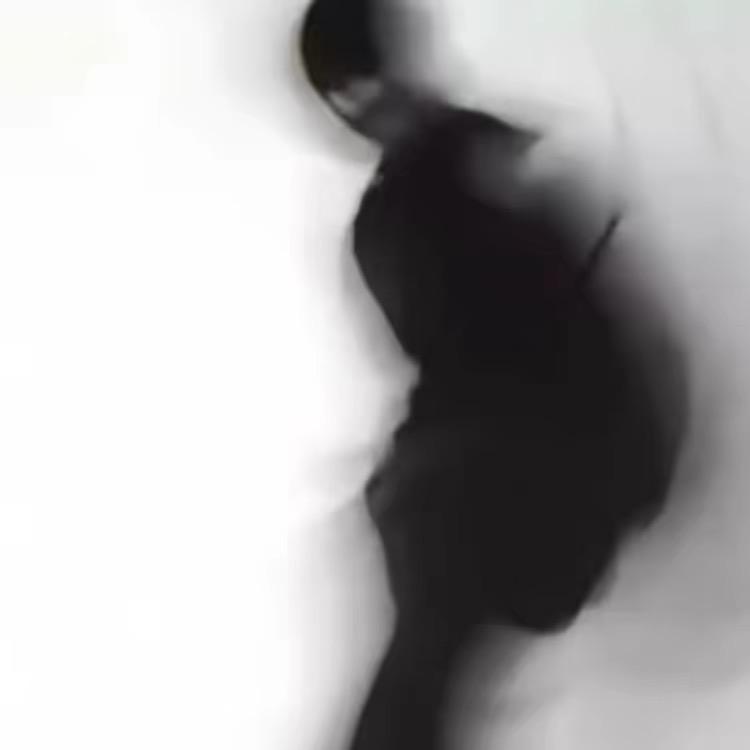 梦里养一只小阳