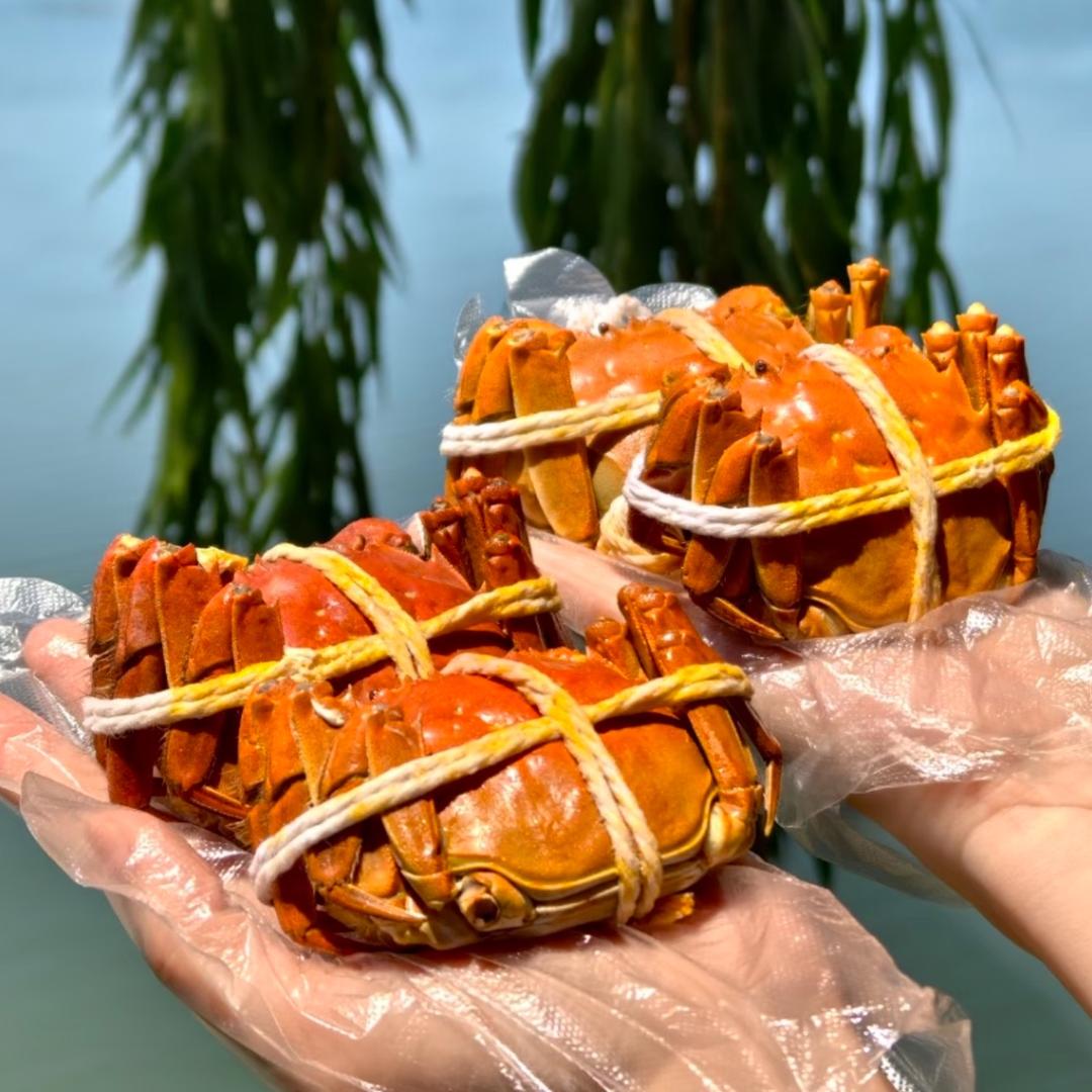 绿禾生鲜供应链