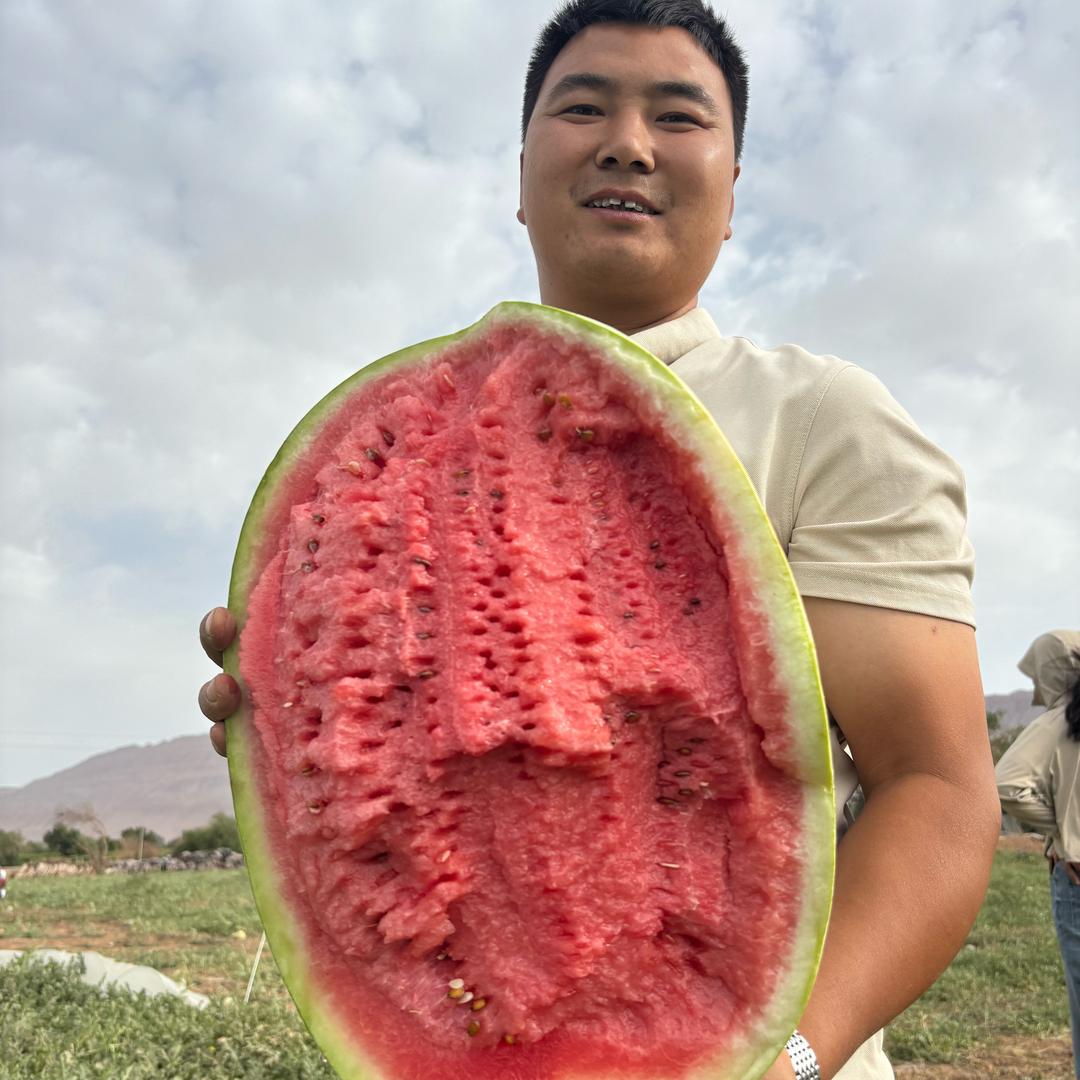 小薄皮，大红瓤西瓜🍉代办鲁俊超