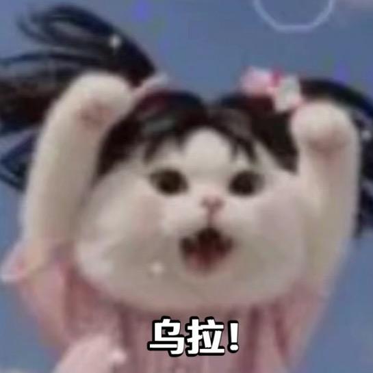 .冒冒.