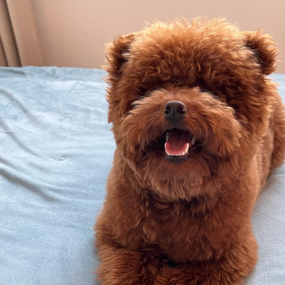 绥阳吨吨桶