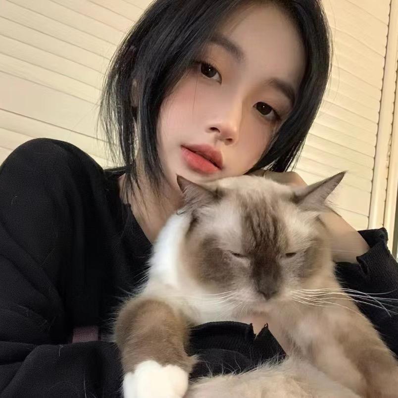 luna🌙