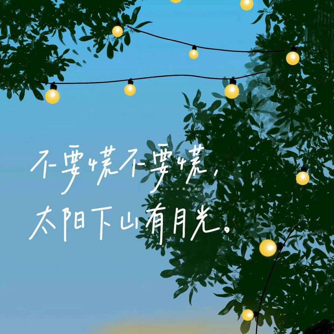 小猫也有心结🐟