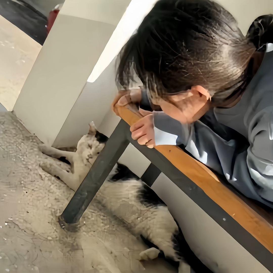 十七/