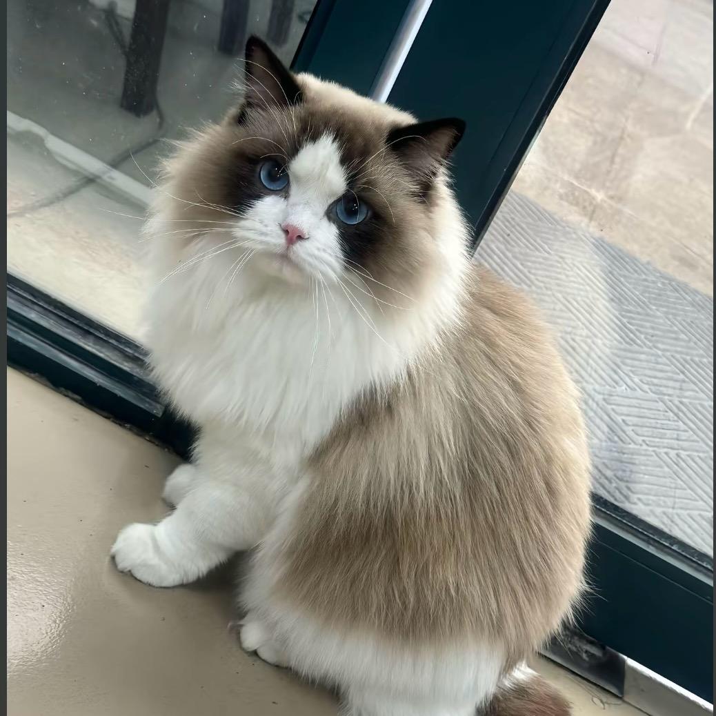 别看了，过得蛮好的