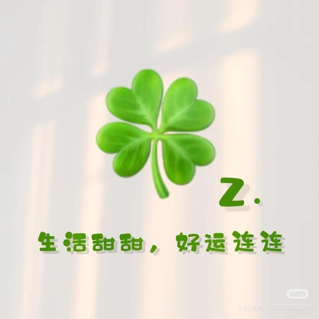 zcl-520🍀