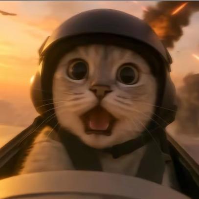 小馋猫
