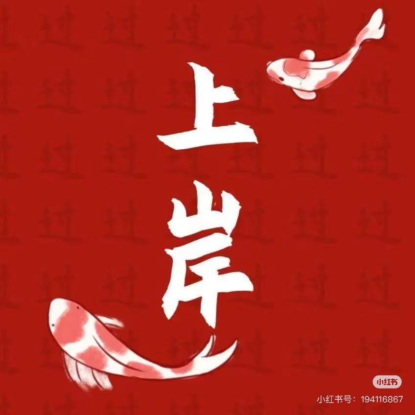 糖糖老师讲中考